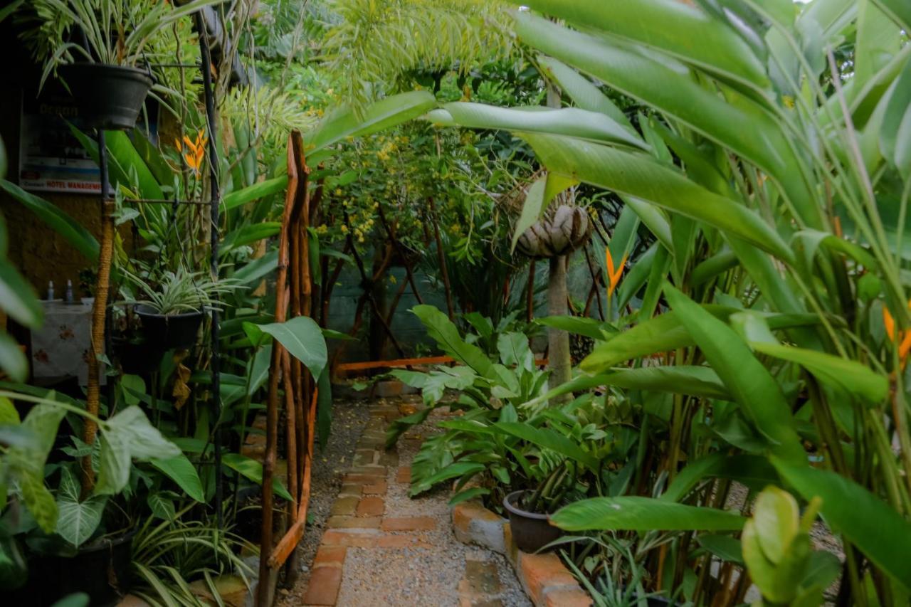 Ruwan Jungle Homestay Mirissa Exterior photo