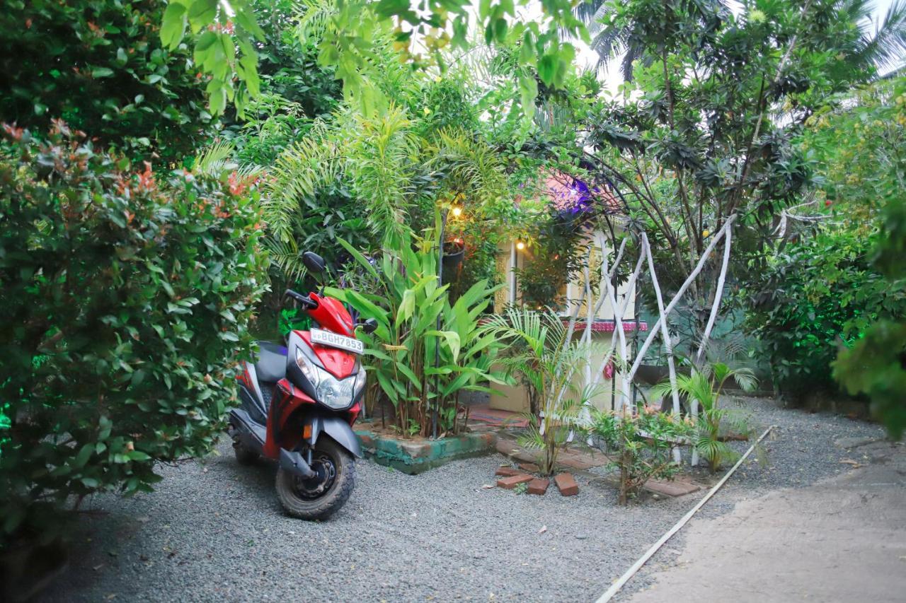 Ruwan Jungle Homestay Mirissa Exterior photo