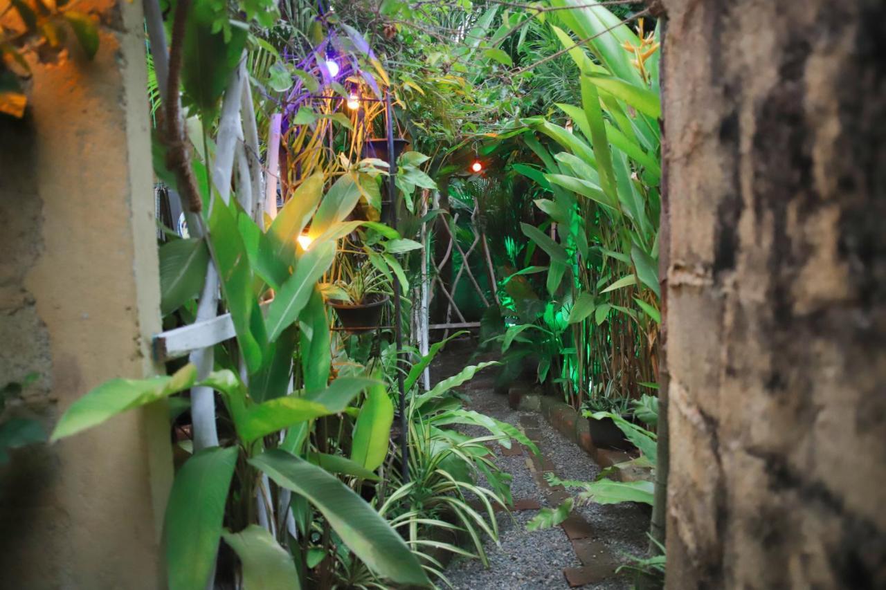 Ruwan Jungle Homestay Mirissa Exterior photo