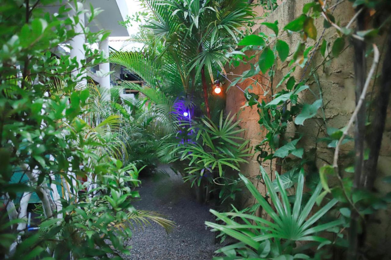 Ruwan Jungle Homestay Mirissa Exterior photo