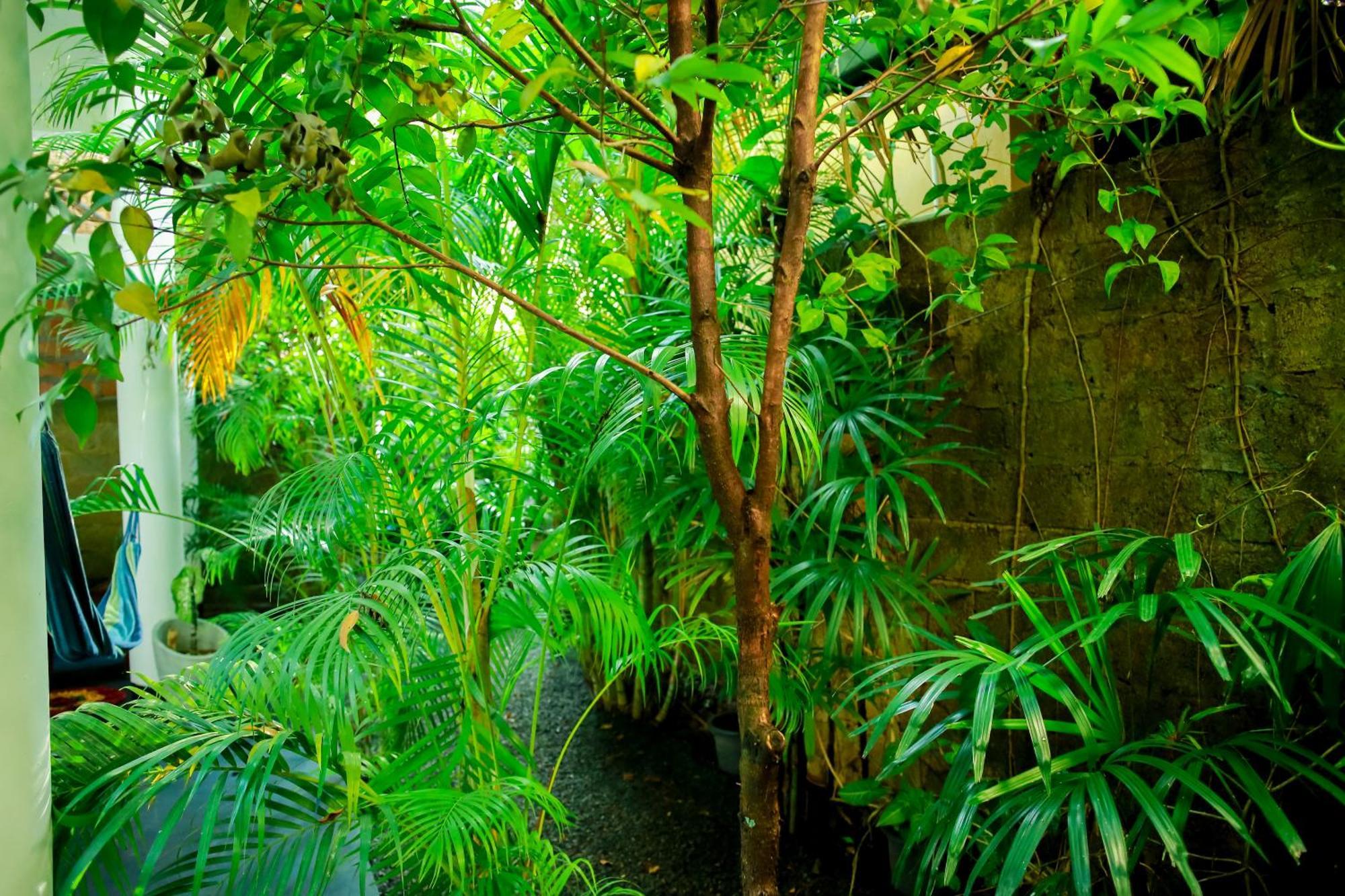 Ruwan Jungle Homestay Mirissa Exterior photo