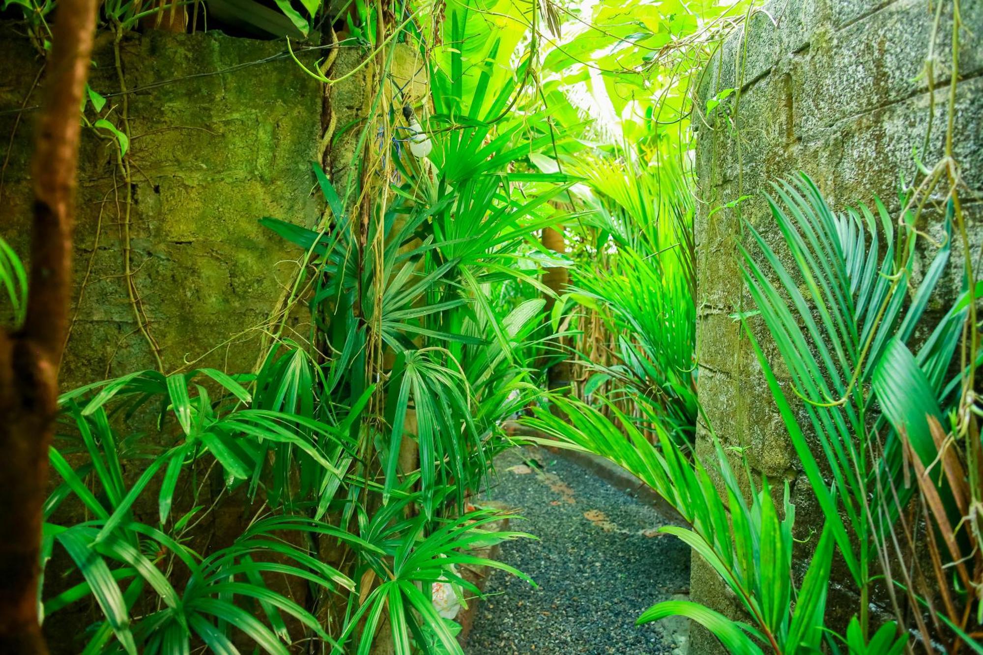 Ruwan Jungle Homestay Mirissa Exterior photo
