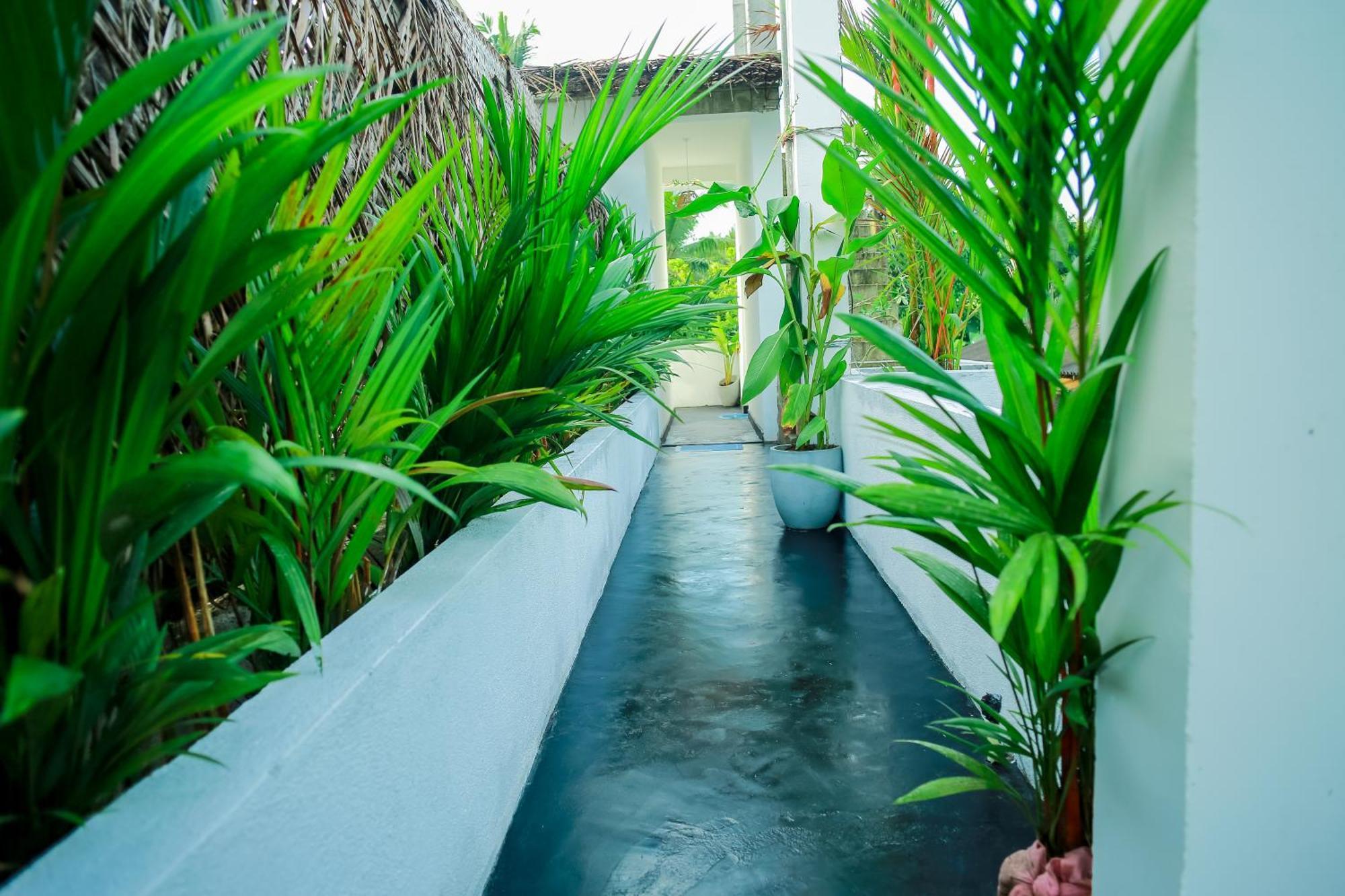 Ruwan Jungle Homestay Mirissa Exterior photo