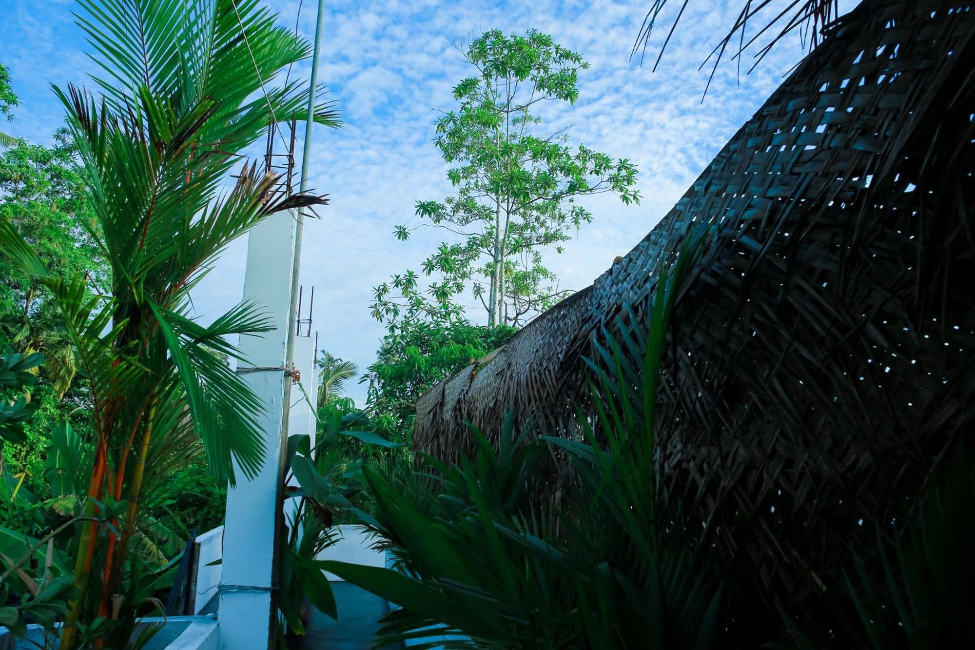 Ruwan Jungle Homestay Mirissa Exterior photo