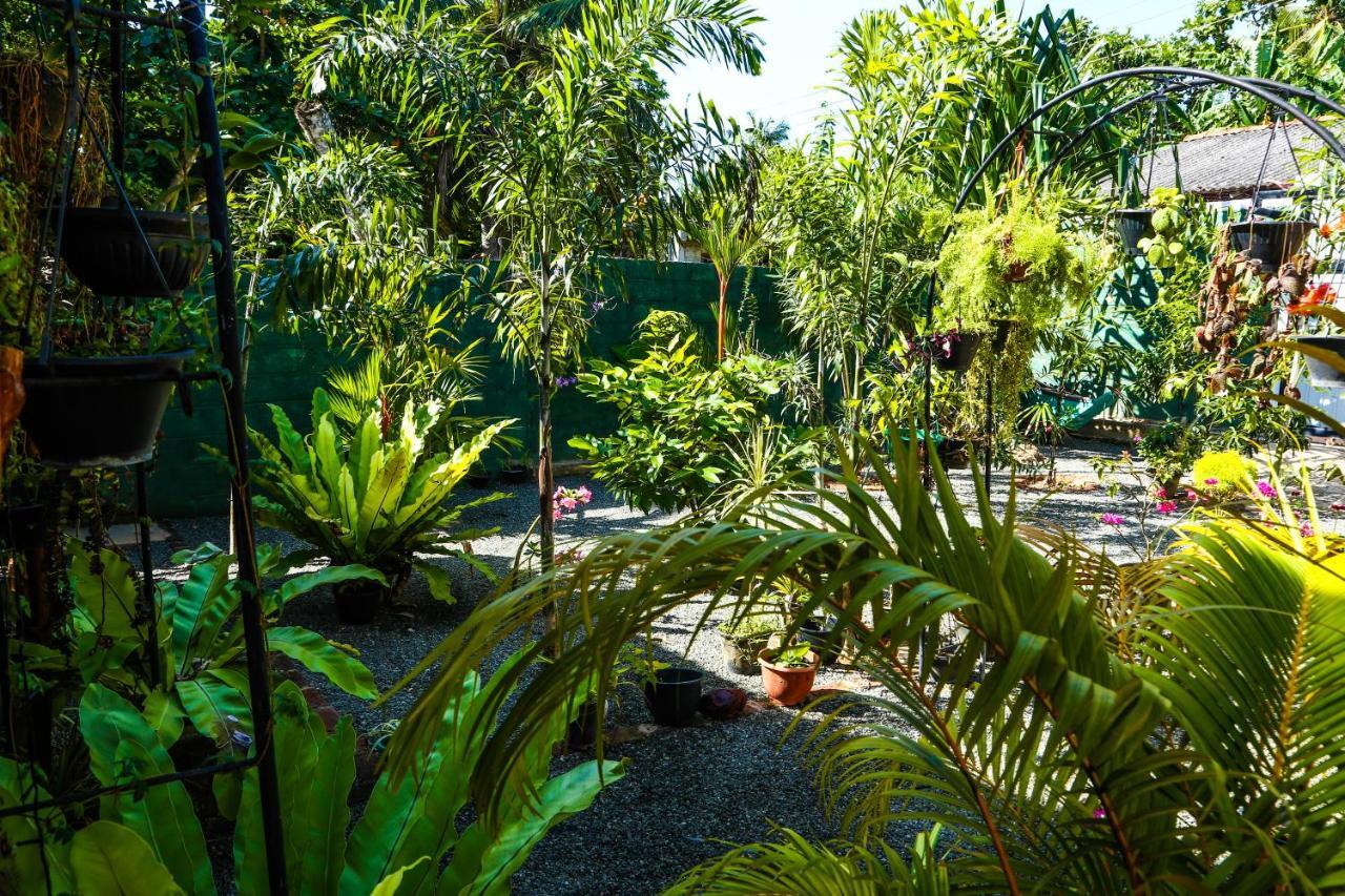 Ruwan Jungle Homestay Mirissa Exterior photo